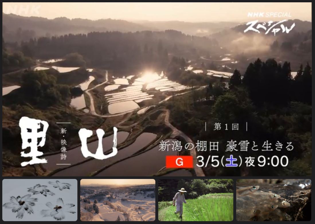 satoyama_Nsp1.JPG